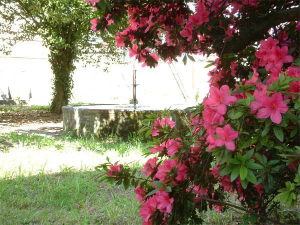 Villa As Casinas à Ribadavia Extérieur photo